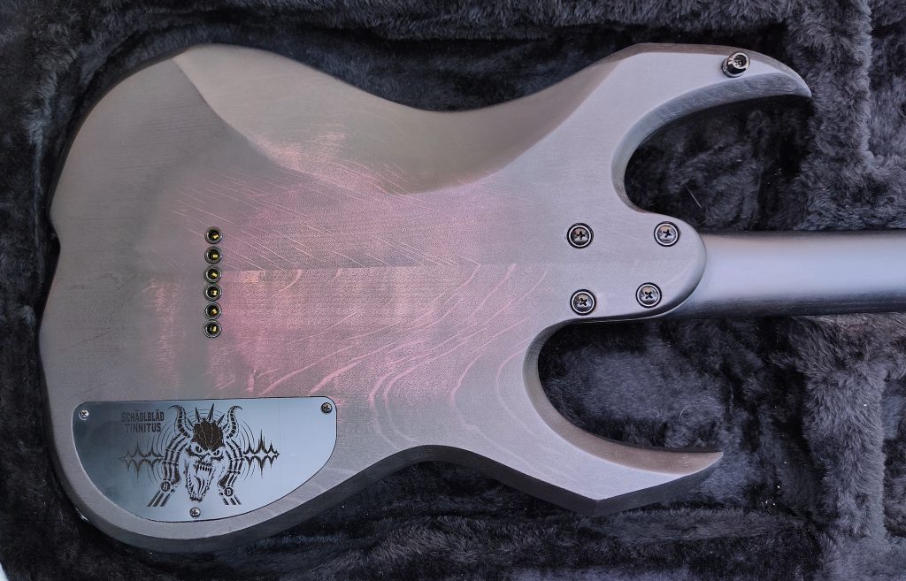 Schädlbläd Tinnitus heavy metal guitar